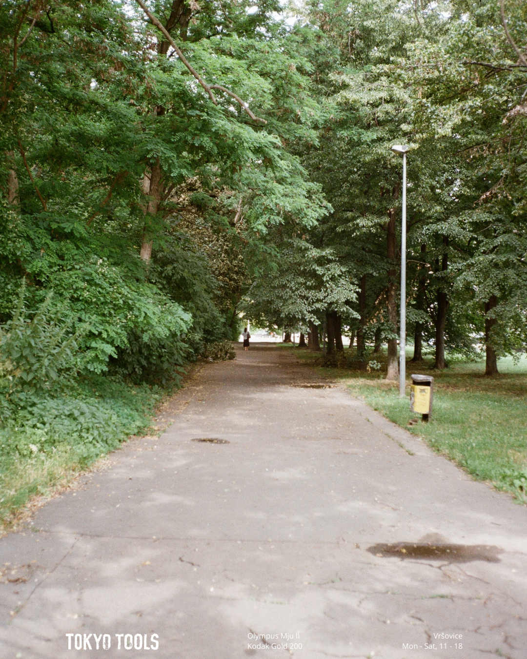 04-TT-BLOG-Vrsovice-cerven